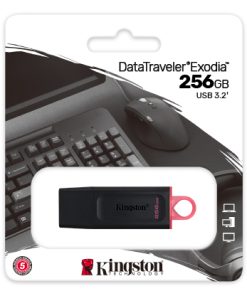 USB KINGSTON 256GB